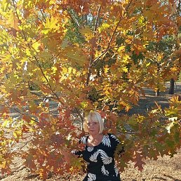 ������, ���������, 67 ���