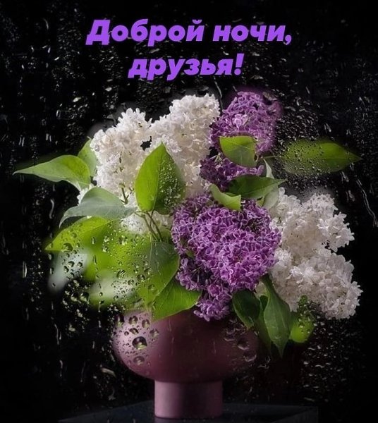 ����������� � ���������, �������� �� ������ ����. - 25 ��� 2026 � 18:05