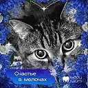 ���� �������, �����������, 48 ��� - ��������� 6 ������� 2026