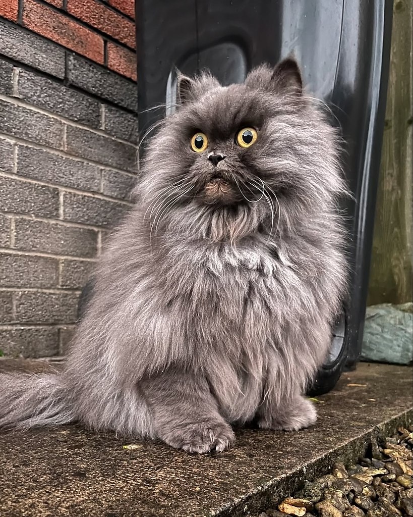 ,   ! ,           - 5