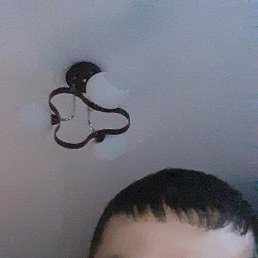 , 29 , 