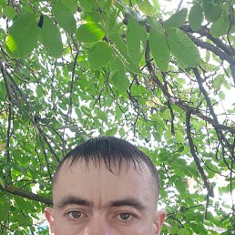 , 38, 