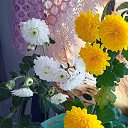 ���� ���������, ������, 60 ��� - ��������� 2 ������ 2025 � ������ ���� ����������