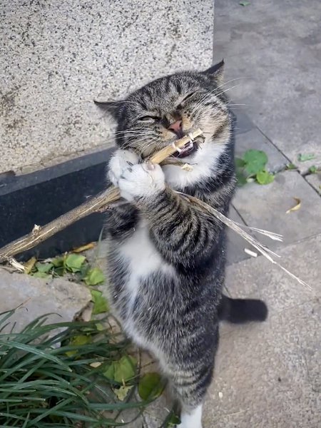 �������� - 4 ������� 2025 � 20:11