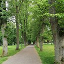 ���� Alexander, ������, 62 ���� - ��������� 1 ������� 2023 � ������ �������