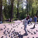 ���� ����������, ������������, 34 ���� - ��������� 8 ������ 2024 � ������ ���� ����������