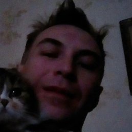 �����, �����-���������, 38 ���