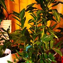 ���� Uegenia, ʸ���, 65 ��� - ��������� 22 �������� 2025 � ������ ���� ����������