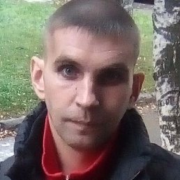 ���������, ����, 41 ���