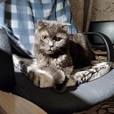 ���� ������, �������, 46 ��� - ��������� 30 ����� 2026