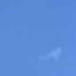 ���, ������, 41 ���