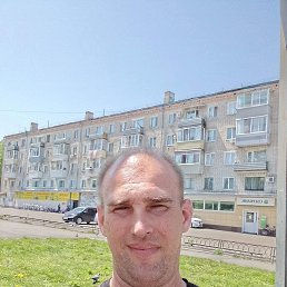 �������, 41 ���, ������