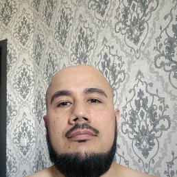 , 41, 
