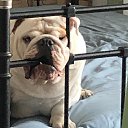 ���� ��������, ��� ��������� - ��������� 9 ���� 2024