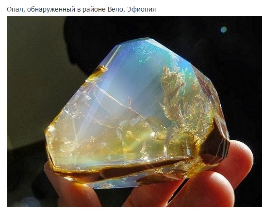 Schultz - 23  2025  22:01