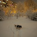 ���� �����, �������-�����, 60 ��� - ��������� 8 ������ 2025 � ������ ���� ����������