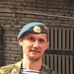 ���� �����, �����������, 48 ��� - ��������� 2 ����� 2025