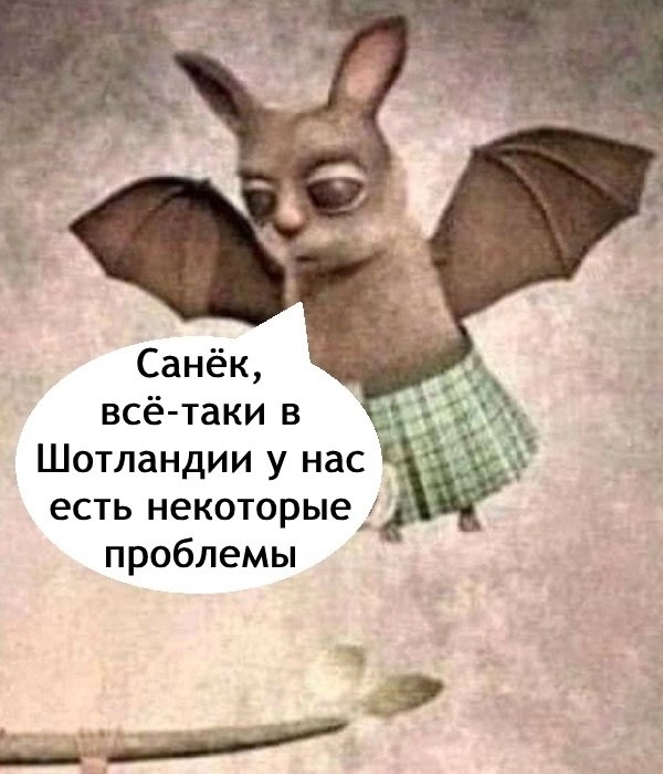  - 13  2025  12:01