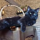 ���� Tequila, ������, 49 ��� - ��������� 23 ������� 2026