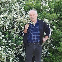 ���� ������, ���������, 58 ��� - ��������� 15 ������� 2025