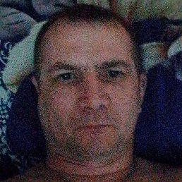 ������, ���������, 41 ���