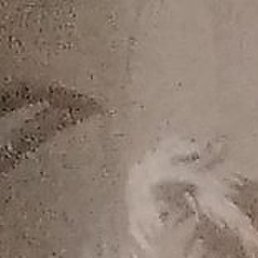 ������, �����������, 50 ���