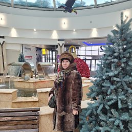 �������, �����-���������, 74 ����