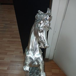 �����, ������, 35 ���