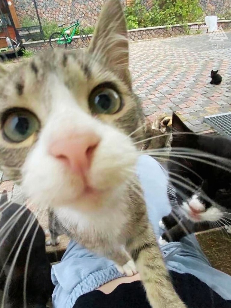 ��� ������ ����� �� �������� � ������. �����! �������, ��� ����� �������