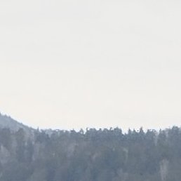 �������, �����������, 54 ����