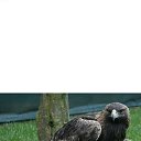 ���� ����, �������, 22 ���� - ��������� 3 ������ 2024