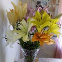 ���� �������, �����, 67 ��� - ��������� 27 ����� 2026