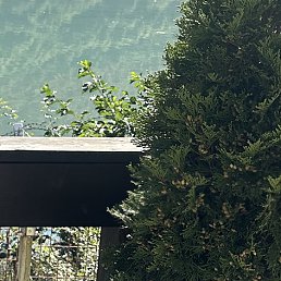 ������, ������������, 36 ���