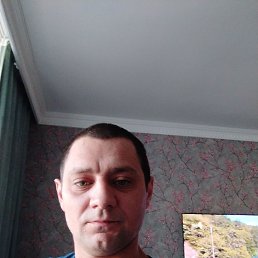 ���� ���������, ������, 36 ��� - ��������� 7 �������� 2024