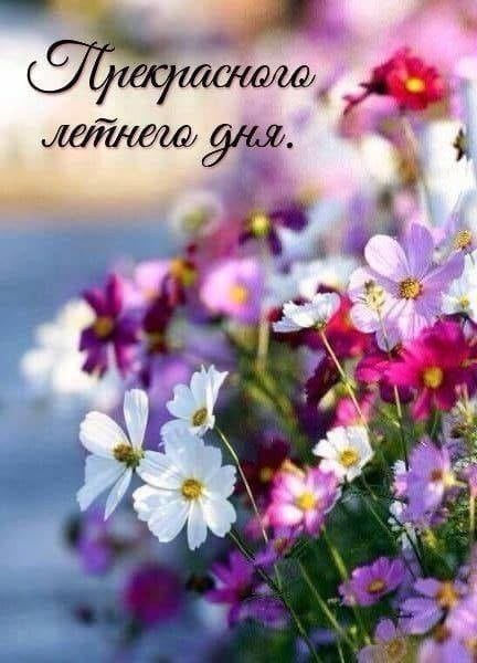 ОБО ВСЕМ - 10 июля 2025 в 16:35