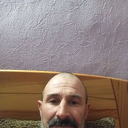 , 53, 