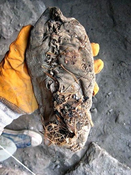 ��������� ����� ��������� ����� � ������ �����, ������� ������� ����� 5 ����� ���. � ������ ����� ... - 2