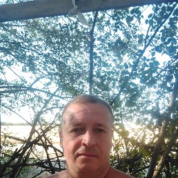 , 38, 