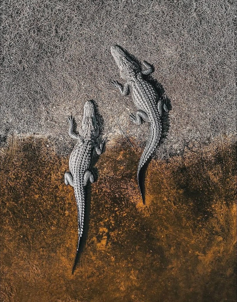 Abstract Aerial Art          ,   ... - 6