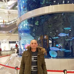 ���� ��� 100, ������, 49 ��� - ��������� 29 ������� 2023