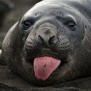 ���� ������, ������, 38 ��� - ��������� 7 ������� 2026 � ������ ���� ����������