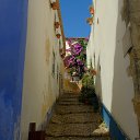  ,  -  12  2025   Lisbon