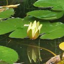 ���� �������, ʸ���, 64 ���� - ��������� 12 ���� 2025