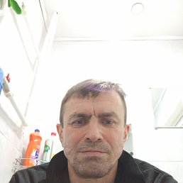 ������, 51 ���, ����������