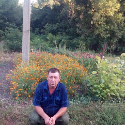 ���� ����������, ���������, 54 ���� - ��������� 3 ������ 2025