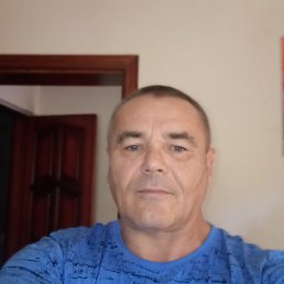 , 51, 