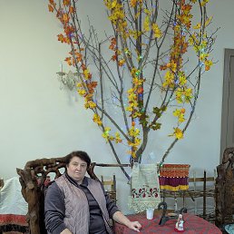 ���� �����, ������, 57 ��� - ��������� 6 ������� 2026