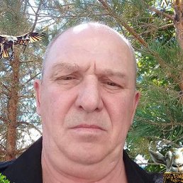 ������, ����, 58 ���