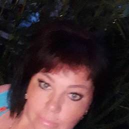 �����, �����-���������, 48 ���