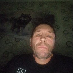 ���� ��������, �����-���������, 43 ���� - ��������� 26 ������ 2026